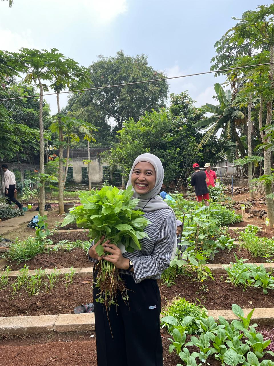 Urban Farming