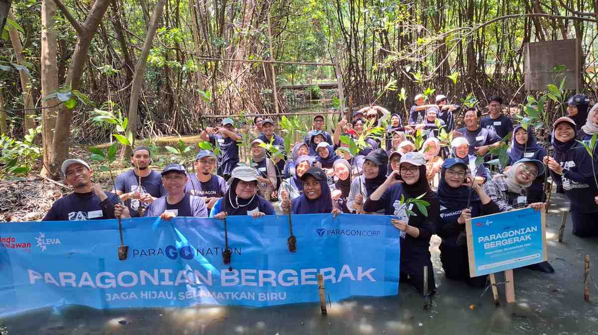 Paragonian dan Indorelawan Tanam 300 Mangrove di Jakarta Utara