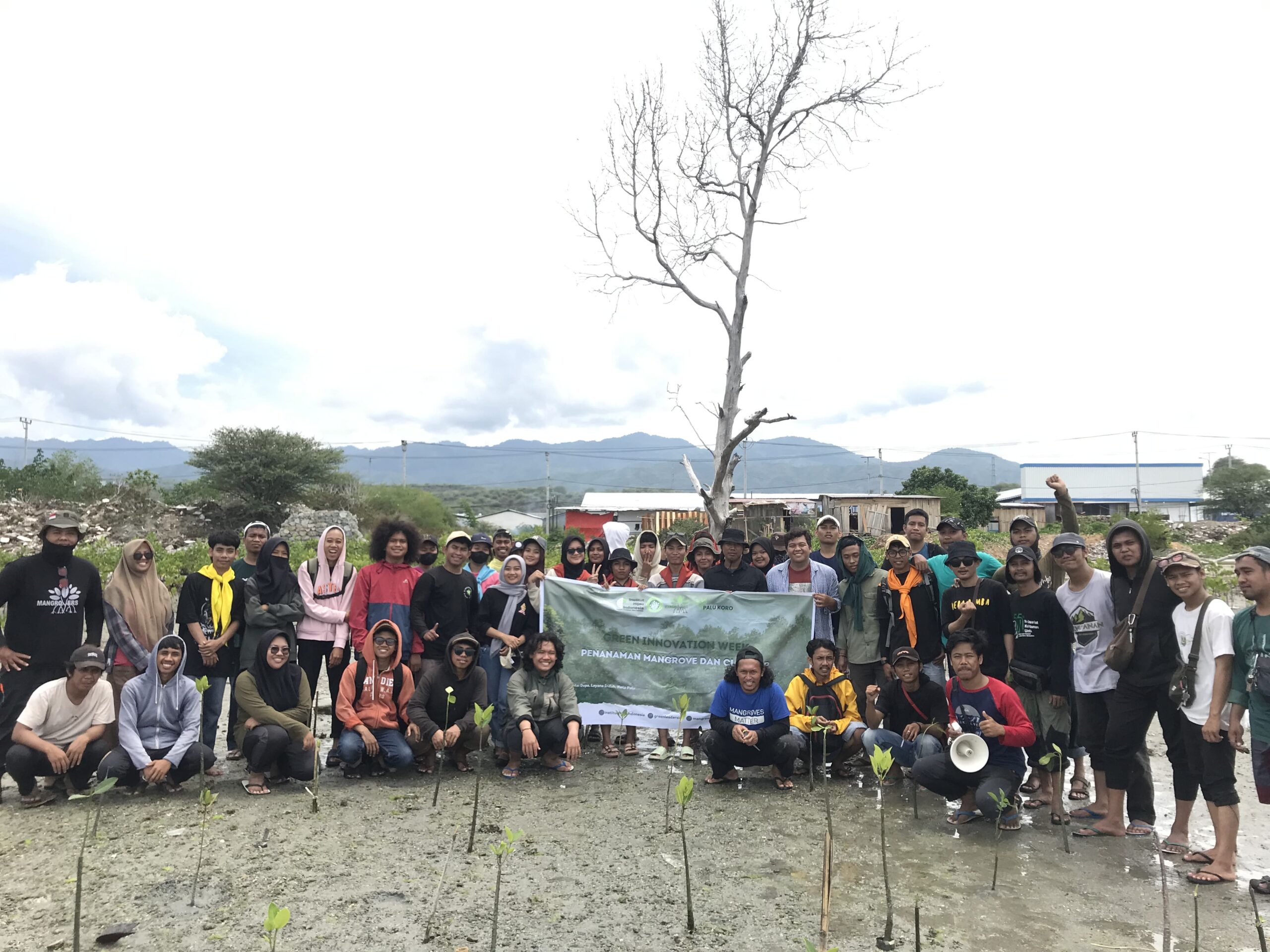 Relawan Mangrove di Palu: Aksi Nyata Mangrovers